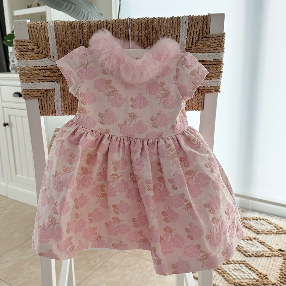 Janie and Jack Pink Floral Baby Dress with Faux Fur Collar